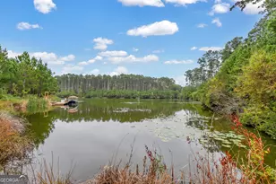 99 Small Pine Ln, Richmond Hill, GA 31324 - Photo 37