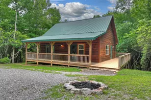 295 Ross Dr, Mineral Bluff, GA 30559 - Photo 1