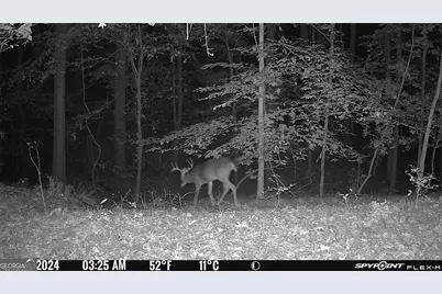 1590 James Adams Road, Danielsville, GA 30633 - Photo 27