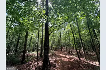 1590 James Adams Road, Danielsville, GA 30633 - Photo 33