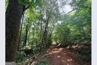 1590 James Adams Road, Danielsville, GA 30633 - Photo 47