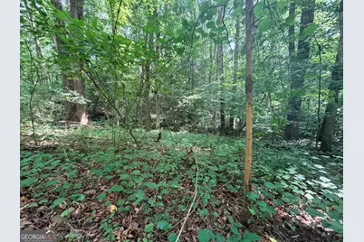 1590 James Adams Road, Danielsville, GA 30633 - Photo 29