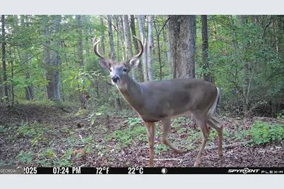 1590 James Adams Road, Danielsville, GA 30633 - Photo 11