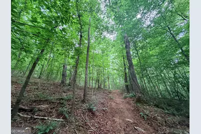 1590 James Adams Road, Danielsville, GA 30633 - Photo 81