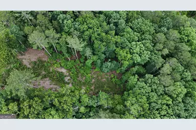 0 River View Trail #LOT 264, Ellijay, GA 30540 - Photo 5
