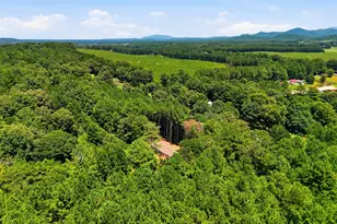 219 Maddron Rd, Crandall, GA 30711 - Photo 47