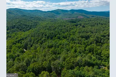 73 Jasmin Court #73, Ellijay, GA 30540 - Photo 11