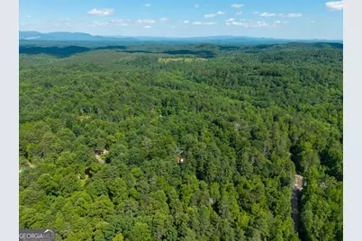 73 Jasmin Court #73, Ellijay, GA 30540 - Photo 9