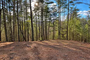 73 Jasmin Ct, Ellijay, GA 30540 - Photo 1