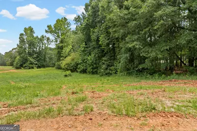 775 Buddy West Road, Newnan, GA 30263 - Photo 101
