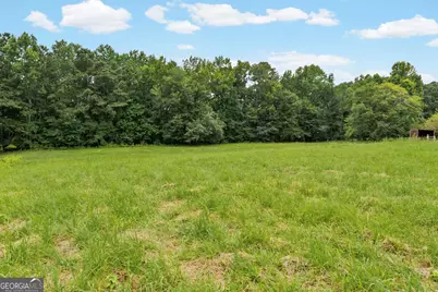 775 Buddy West Road, Newnan, GA 30263 - Photo 89