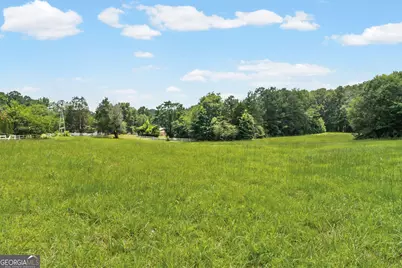 775 Buddy West Road, Newnan, GA 30263 - Photo 103