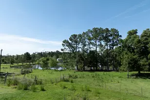 3349 B Scotland Rd, Alamo, GA 30411 - Photo 67