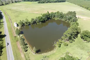 3349 B Scotland Rd, Alamo, GA 30411 - Photo 53