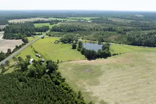 3349 B Scotland Rd, Alamo, GA 30411 - Photo 55