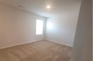 1100 Bluecoat Cir, Hampton, GA 30228 - Photo 3