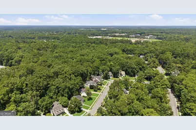 105 Cottage Court, Richmond Hill, GA 31324 - Photo 43