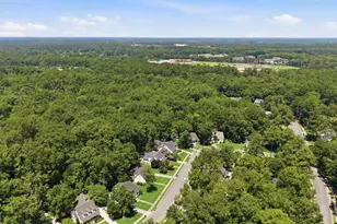 105 Cottage Ct, Richmond Hill, GA 31324 - Photo 43