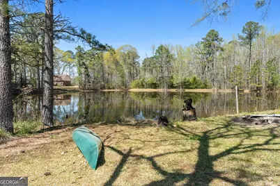 478 Liberty Hill Road, Milner, GA 30257 - Photo 21