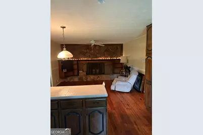45 North Drive, Hampton, GA 30228 - Photo 19