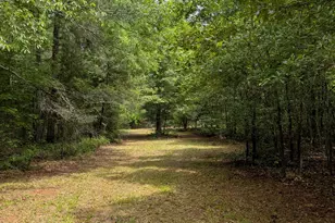 3115 East Fairview Rd, McDonough, GA 30252 - Photo 51
