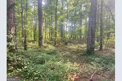 3115 East Fairview Rd, McDonough, GA 30252 - Photo 37