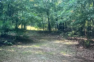 3115 East Fairview Rd, McDonough, GA 30252 - Photo 65