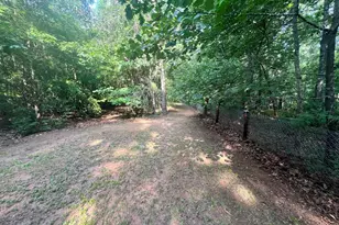 3115 East Fairview Rd, McDonough, GA 30252 - Photo 61