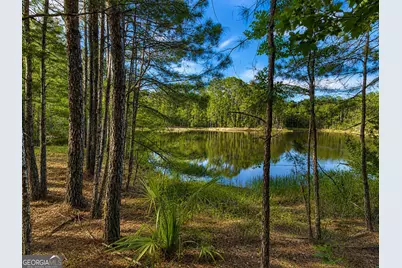 100 La Vento Lane, Waverly, GA 31565 - Photo 1