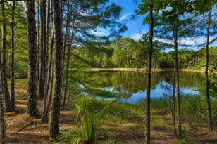 100 La Vento Ln, Waverly, GA 31565 - Photo 1