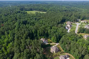 10 Ridgeview Ct, Newnan, GA 30263 - Photo 71