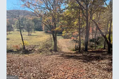 0 Freeman View Trail #LOT 3, Cleveland, GA 30528 - Photo 17
