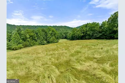 0 Freeman View Trail #LOT 3, Cleveland, GA 30528 - Photo 5