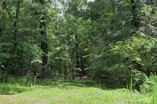 3971 Buchanan Hwy, Dallas, GA 30157 - Photo 37