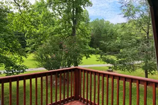 170 Dogpatch Ln, Blue Ridge, GA 30513 - Photo 11