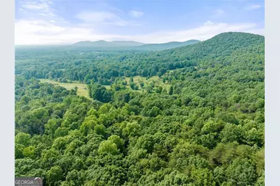 0 Freeman View Trail #LOT 4, Cleveland, GA 30528 - Photo 3