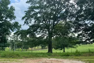 112 Melrose Rd, Bowdon, GA 30108 - Photo 7