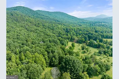 00 Partin Road #LOT 1, Cleveland, GA 30528 - Photo 3