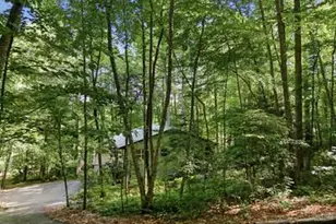 52 Hamilton Circle, Blairsville, GA 30512 - Photo 33