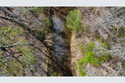 Tract 2 Cross Plains Hulett, Carrollton, GA 30116 - Photo 3