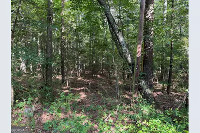 0 Clear Lake Drive, Adairsville, GA 30103 - Photo 23