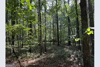 0 Clear Lake Drive, Adairsville, GA 30103 - Photo 13