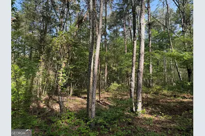 0 Clear Lake Drive, Adairsville, GA 30103 - Photo 25