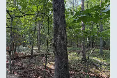 0 Clear Lake Drive, Adairsville, GA 30103 - Photo 9
