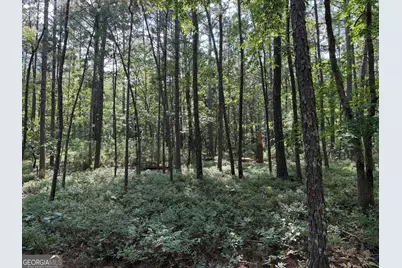 0 Clear Lake Drive, Adairsville, GA 30103 - Photo 17