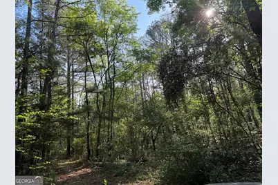 0 Clear Lake Drive, Adairsville, GA 30103 - Photo 1
