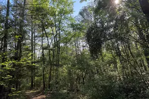 0 Clear Lake Dr, Adairsville, GA 30103 - Photo 1