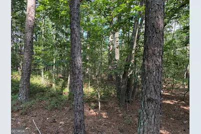0 Clear Lake Drive, Adairsville, GA 30103 - Photo 15