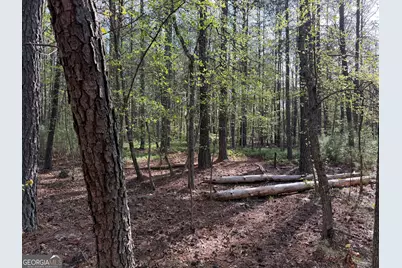 0 Clear Lake Drive, Adairsville, GA 30103 - Photo 29
