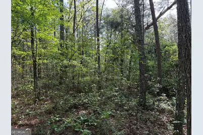 0 Clear Lake Drive, Adairsville, GA 30103 - Photo 27